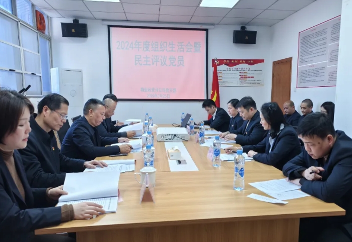 長運物業(yè)經營分公司黨支部召開2024年度組織生活會暨民主評議黨員大會  李偉到會督導